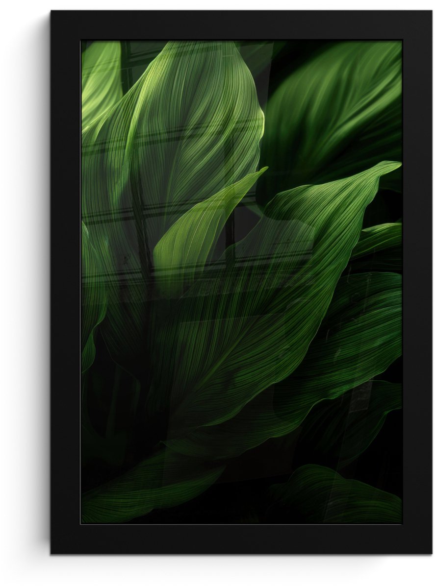 FrameYourWall Poster in lijst - Fotolijst 20x30 cm - Posters - Bladeren - Schaduw - Groen - Textuur - Posterlijst zwart - Decoratie - Wanddecoratie woonkamer - Muurdecoratie slaapkamer Bladeren - Textuur