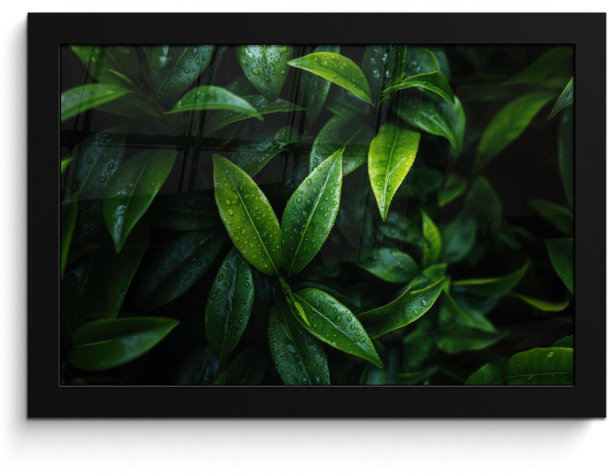 FrameYourWall Poster in lijst - Fotolijst 30x20 cm - Posters - Bladeren - Regendruppels - Licht - Groen - Posterlijst zwart - Decoratie - Wanddecoratie woonkamer - Muurdecoratie slaapkamer