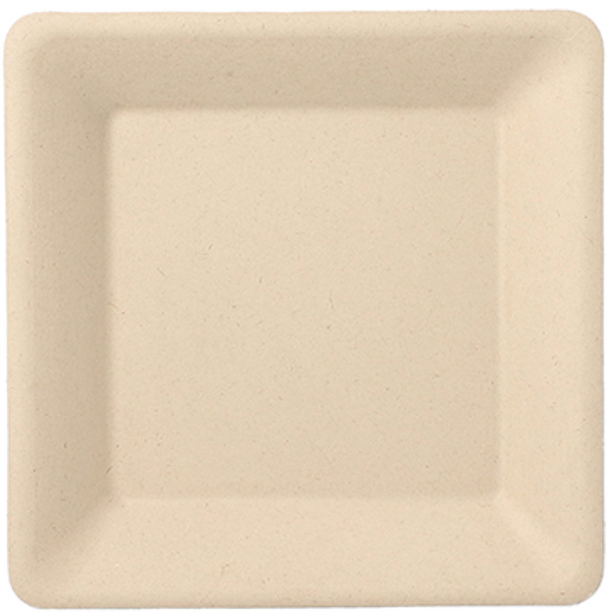 50 Borden van suikerriet pure hoekig 15,5 cm x 15,5 cm natuur
