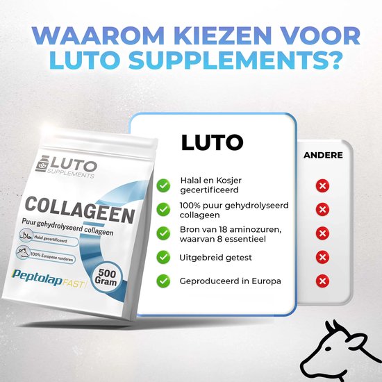 Creatine Poeder, 500g, Puur Creatine Monohydraat | Optimale Creatine Poeder, 500g, Puur Creatine Monohydraat | Optimale