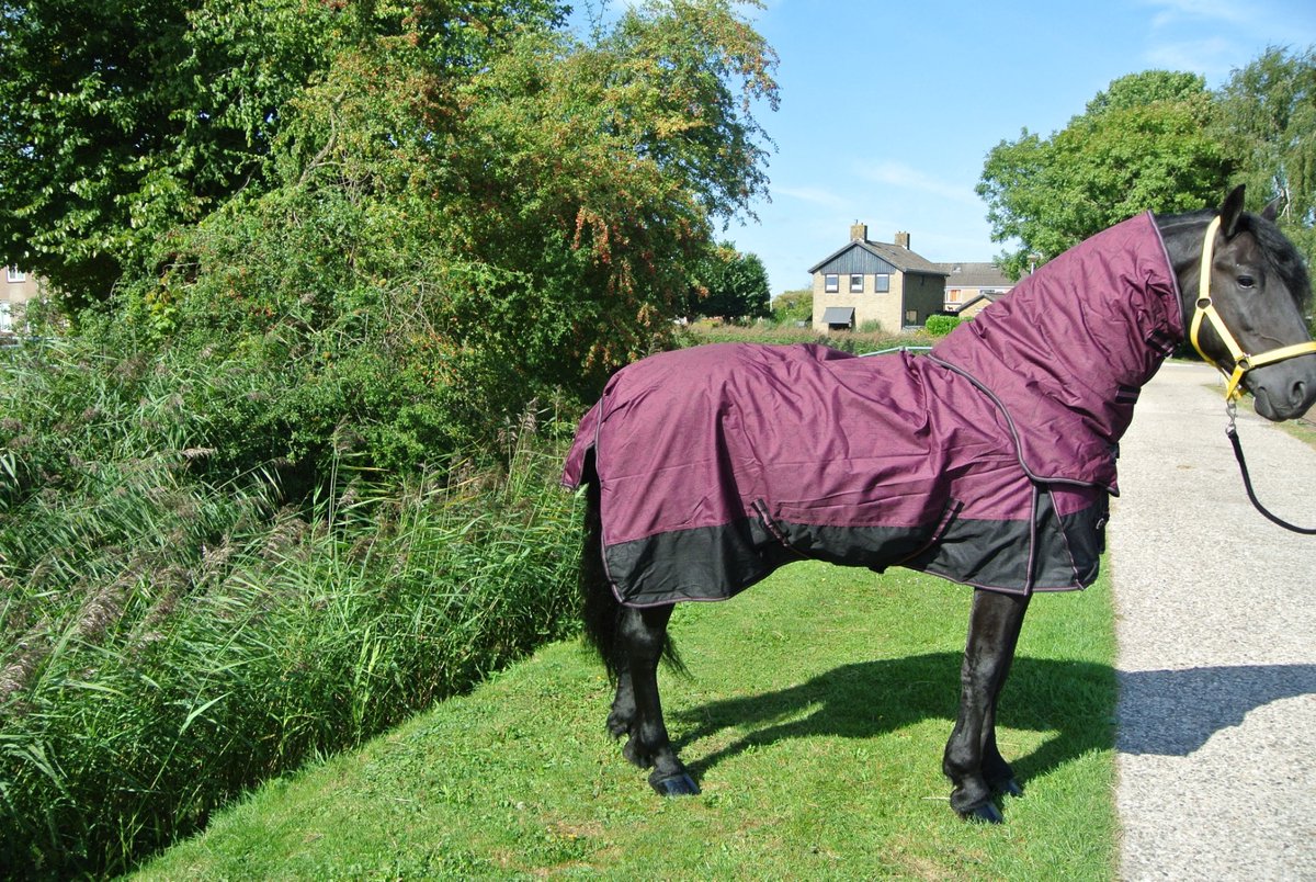 Regendeken 150gram met afneembare hals zwart/red wine