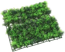 Allecto plus - Aquarium grasmatten voor tropisch aquarium - Groen landschap decoratie voor zout- en zoetwater - Waterdichte deurmat voor binnengebruik - Duurzame gazonplanten
