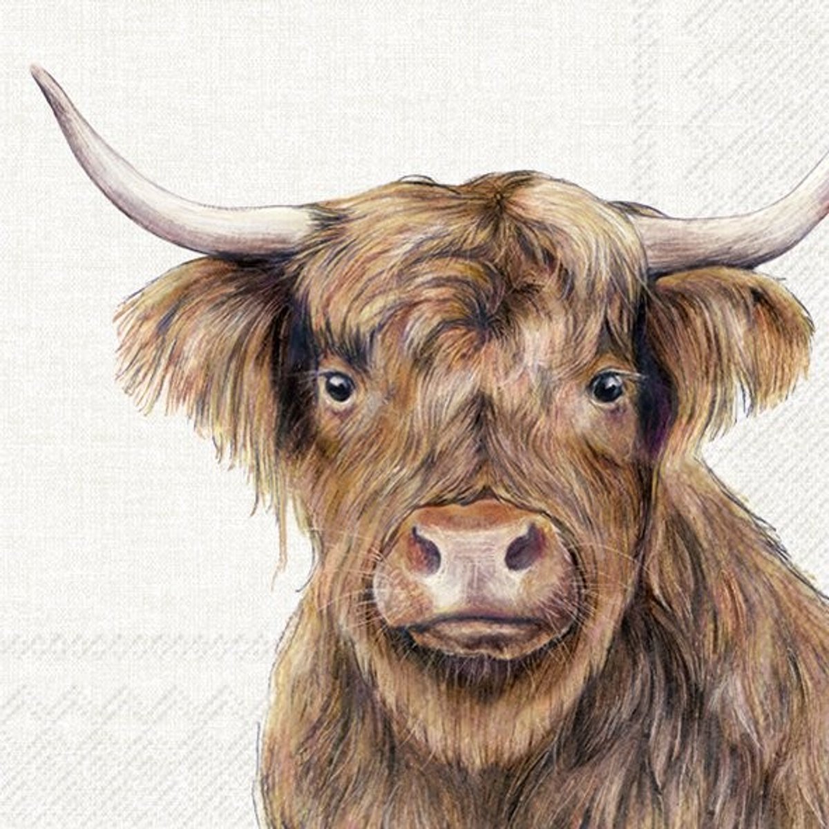 IHR - Lunch servetten - Farm highland cattle cream