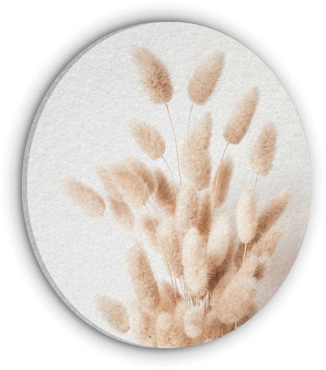 Akoestisch wandpaneel rond 30x30 cm - Vilt schilderij Pampasgras - Pluim - Wit - Beige - Ronde akoestische panelen - Geluidsdempende wanddecoratie - Geluidsisolatie wandcirkel - Muurdecoratie geluidspanelen
