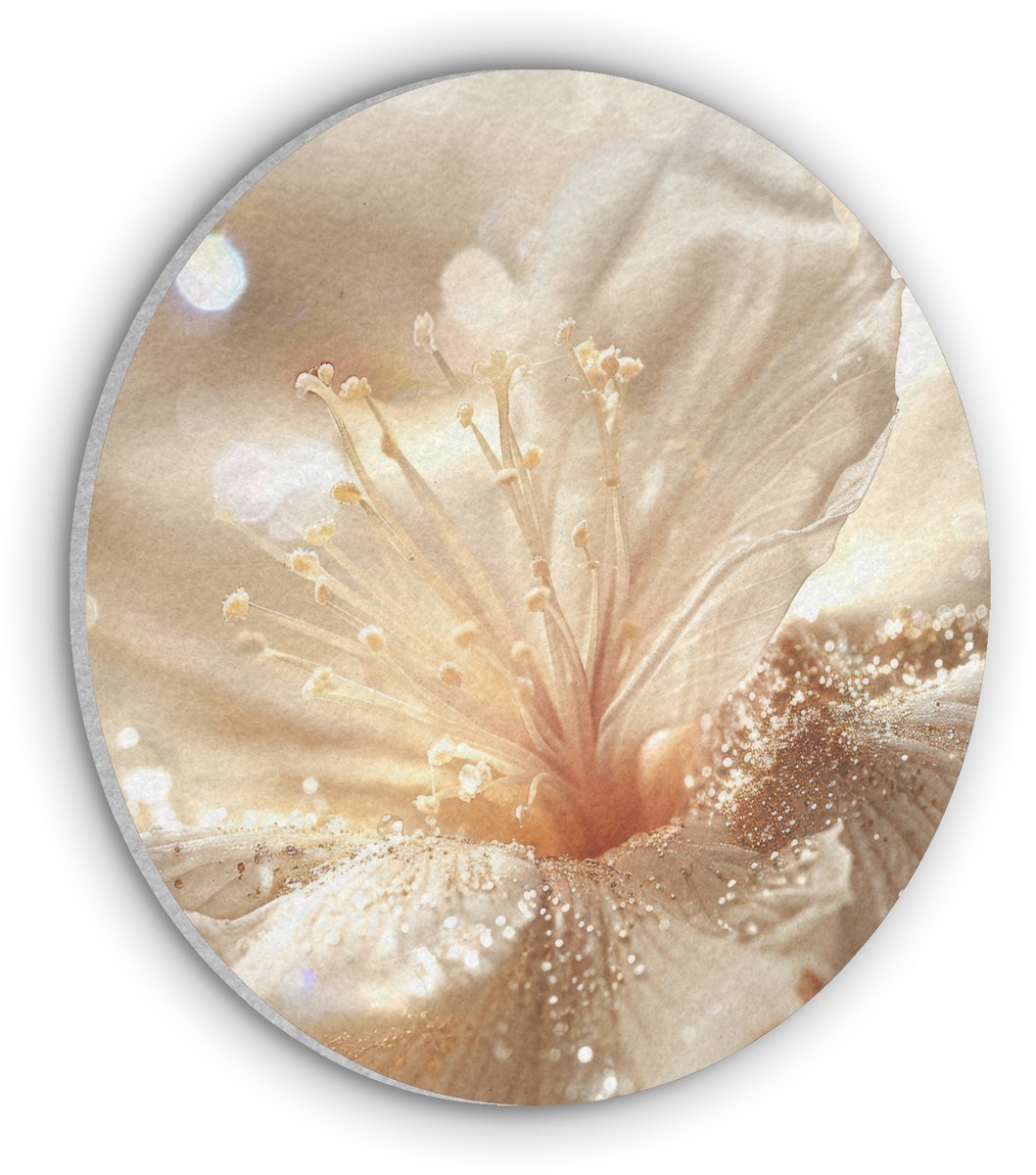 Akoestisch wandpaneel rond 70x70 cm - Vilt schilderij Bloem - Wit - Glitter - Goud - Modern - Ronde akoestische panelen - Geluidsdempende wanddecoratie - Geluidsisolatie wandcirkel - Muurdecoratie geluidspanelen