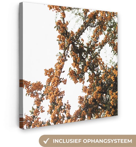 Toile Peinture Fleurs - Branches - Nature - 50x50 cm - Décoration murale