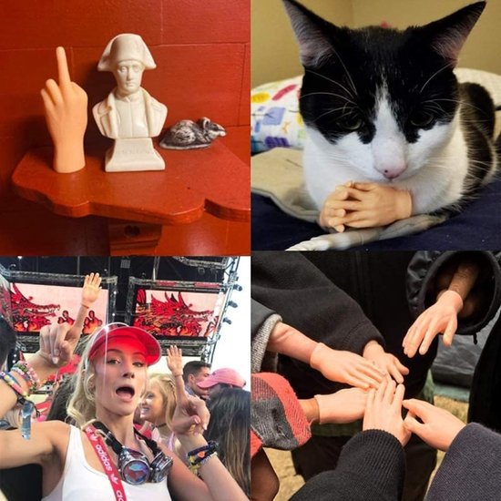 5 Pack Handen Voor Katten Kleine Hand Vinger Poppen Grappige Vinger Foto Props Vinger Poppen Voor Katten Kleine Handpoppen