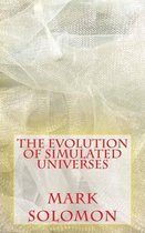 The Evolution of Simulated Universes