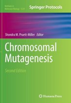 Chromosomal Mutagenesis