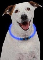 Nite Ize NITEHOWL - Veiligheids halsband voor dieren - LED Blauw
