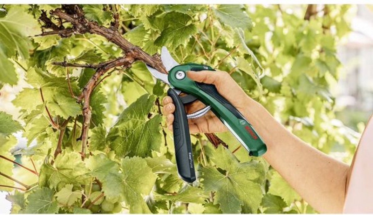 Bosch EasyPrune Accu snoeischaar - Met 3.6 V accu en USB lader