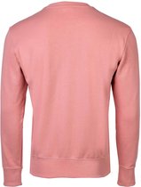 Roze Champion Trui heren kopen Kijk snel bol