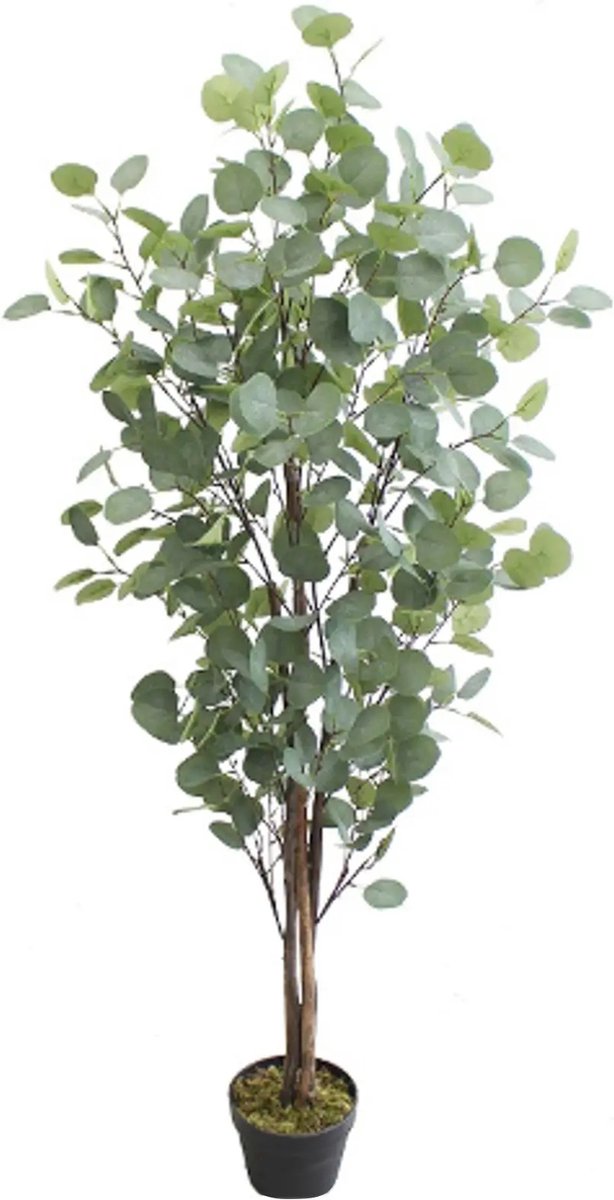 Kunstpalm Kunst Eucalyptus Boom - Namaak Kamerplant - 160cm - Kunstplant Groen Donkerbruin