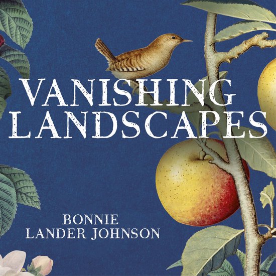 Vanishing Landscapes - cover