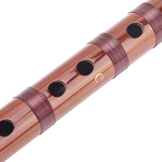 Bittere Bamboefluit Traditioneel Chinees Instrument met Opbergdoos voor ...