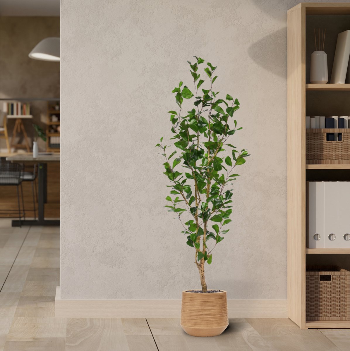 maxifleur Kunstplanten Ficus Triangularis Kunstplant 150cm Groen