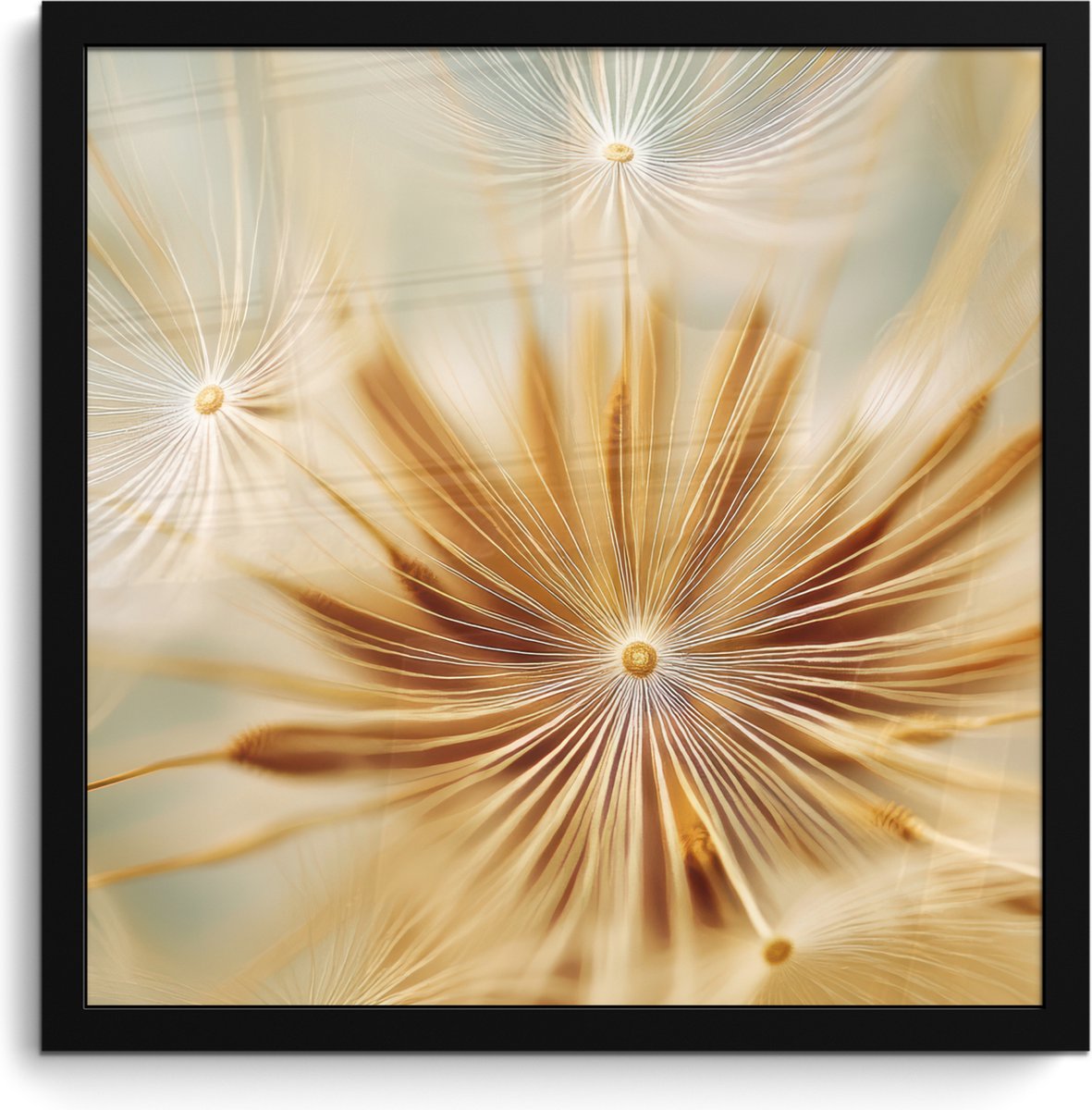 FrameYourWall Poster in lijst - Fotolijst 40x40 cm - Posters - Paardenbloem - Beige - Abstract - Modern - Natuur - Posterlijst zwart - Decoratie - Wanddecoratie woonkamer - Muurdecoratie slaapkamer Paardenbloem - Abstract