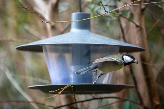 Blauwgrijs vogelvoederhuisje met een koolmees die naar binnen vliegt.