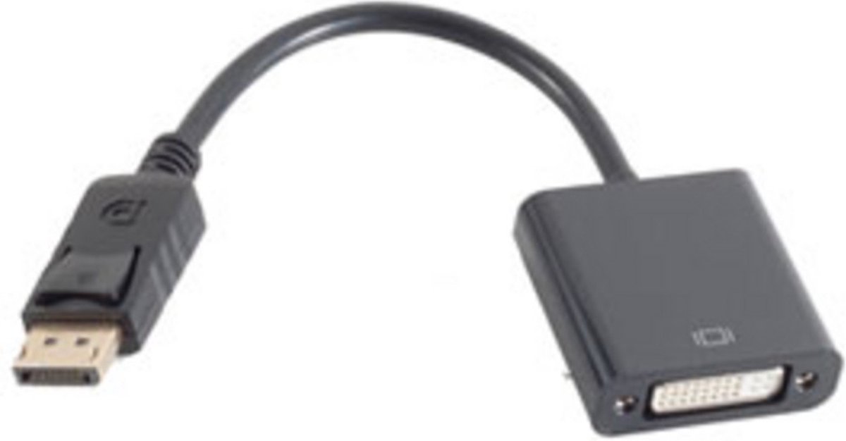 shiverpeaks BS14-05010 video kabel adapter DisplayPort DVI Zwart