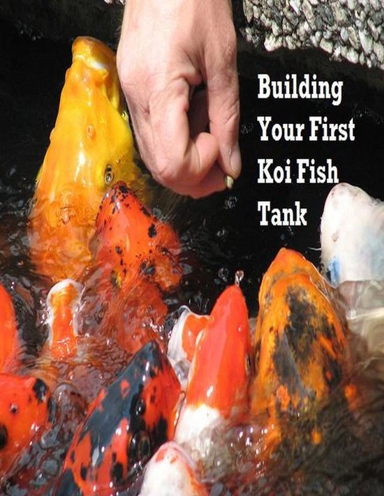 Building Your First Koi Fish Tank - cover