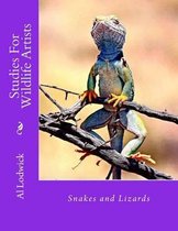 Snakes and Lizards