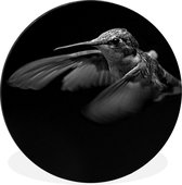 WallCircle - Cercle mural - Cercle mural - Colibri - Vogel - noir et blanc - Aluminium - Dibond - 140x140 cm - Intérieur et Extérieur