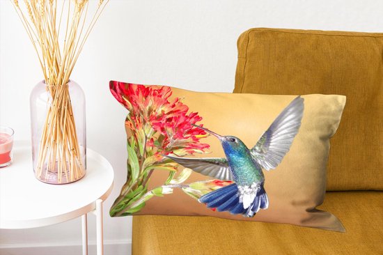 Coussins Coussins décoratifs - Coussin - Colibri aux couleurs vives à côté d'une belle fleur rouge - 50x30 cm - Coussin en coton