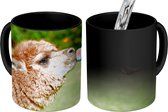 Magische Mok - Foto op Warmte Mokken - Koffiemok - Alpaca - Fles - Melk - Magic Mok - Beker - 350 ML - Theemok