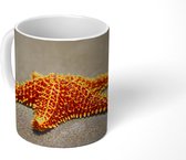 Mok - Zeester - Oranje - Strand - 350 ML - Beker