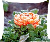 Sierkussen - Bloem Hiver - Multicolore - 50 Cm X 50 Cm