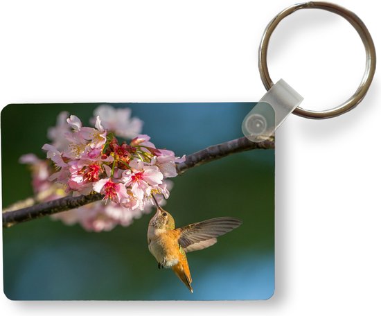 Sleutelhanger Kolibrie 