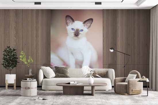 Behang - Fotobehang Witte Siamese kat op een tafelkleed - Breedte 180 cm x hoogte 280 cm