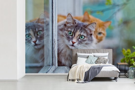 Papier peint - Papier peint Papier peint photo Chat - Fenêtre - Chats - Largeur 330 cm x hauteur 220 cm