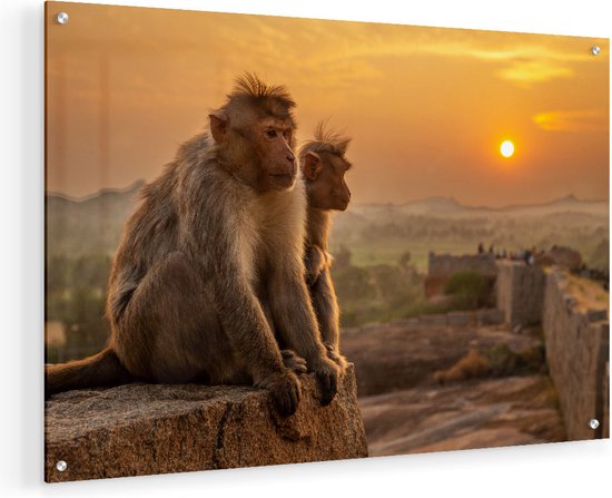 Peinture sur verre Artaza - Deux singes regardant le coucher du soleil - 60x40 - Peinture sur plexiglas - Photo sur Glas