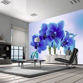 Zelfklevend fotobehang - Doordachtheid, Blauw, 8 maten, premium print
