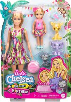 Barbie and Chelsea The Lost Birthday Barbie & Chelsea Speelset
