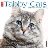 Tabby Katten Kalender 2022