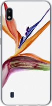 Geschikt voor Samsung Galaxy A10 hoesje - Strelitzia - Aquarel - Bloemen - Siliconen Telefoonhoesje