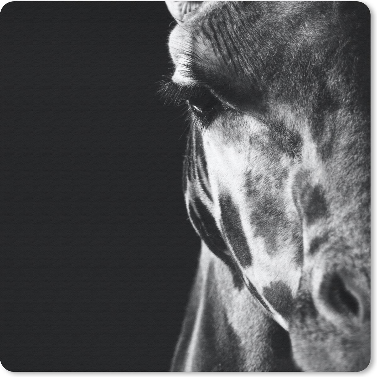 Muismat 20x20 cm - Mousepad Dierenprofiel giraffe in zwart-wit - Muismatten