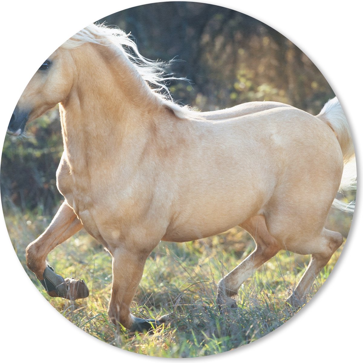 Muismat rond 30x30 cm - Mousepad Paard - Natuur - Bruin - Ronde muismatten