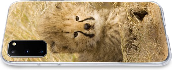 Coque Samsung Galaxy S20 - Cheeta - Jeune - Herbe - Siliconen