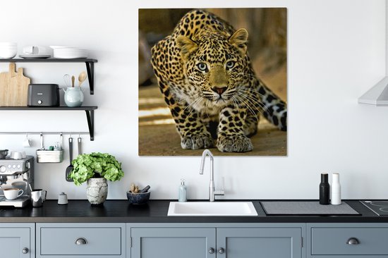 Tableau Peinture Léopard - Prédateur - Portrait - 90x90 cm - Décoration murale