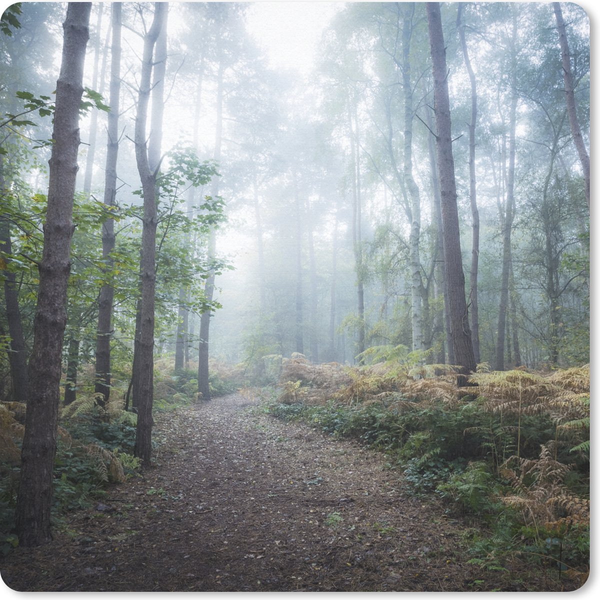 Muismat 20x20 cm - Mousepad Bos - Mist - Pad - Muismatten