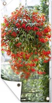 Tuinposter Hangplant met rode bloemen - 40x80 cm - Wanddecoratie Buiten - Tuinposter - Tuindoek - Schuttingposter - Tuinschilderij