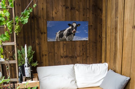 Affiche de jardin Vache - Herbe - Blauw - Animaux - 80x40 cm