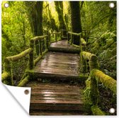 Tuinposters Mooi regenwoud en jungle - 50x50 cm - Tuindoek - Buitenposter