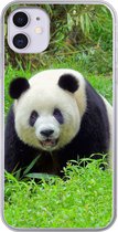 Geschikt voor iPhone 11 hoesje - Panda - Gras - Dier - Siliconen Telefoonhoesje