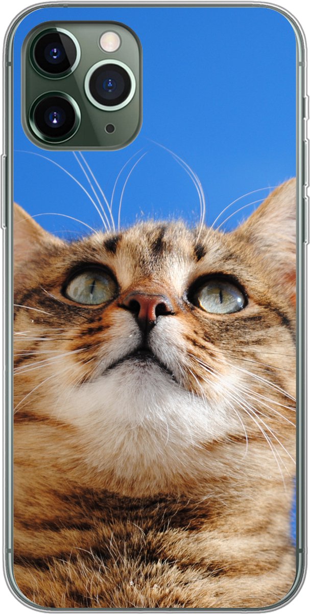 Telefoonhoesje Geschikt voor iPhone 11 Pro hoesje - Kat - Bruin - Lucht - Meisjes - Kinderen - Jongens - Kids - Siliconen Telefoonhoesje Telefoonhoesje