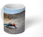 Mok - Een gekleurde hagedis loopt over de rotsen - 350 ML - Beker