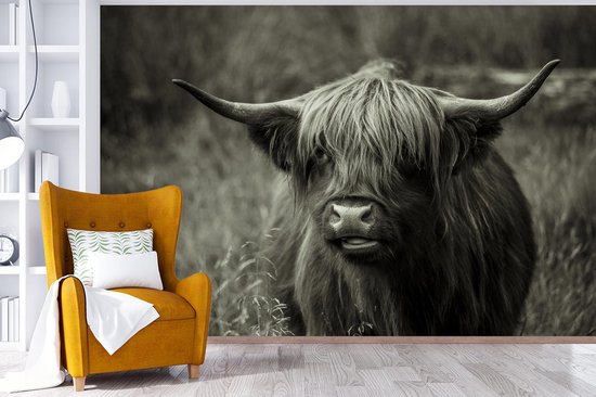 Papier peint - Papier peint photo Scottish Highlander - Portrait - Zwart - Wit - Largeur 360 cm x Hauteur 240 cm